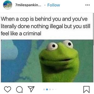 Meet your Posher, Gianna